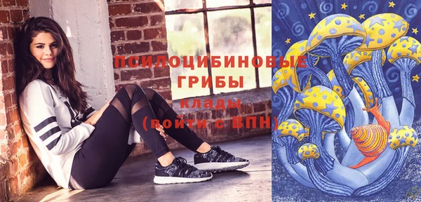 spice Михайловка