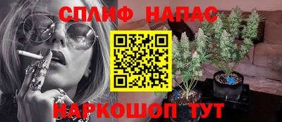 крисы Донецк