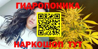 эйфоретик Гусь-Хрустальный