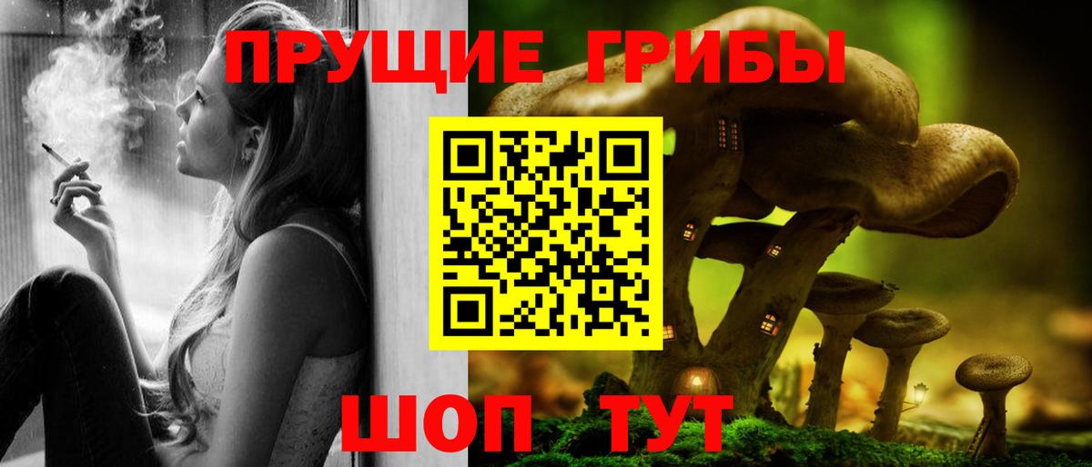 Галлюциногенные грибы Psilocybe  купить   Галлюциногенные грибы MAGIC MUSHROOMS  Волгодонск 