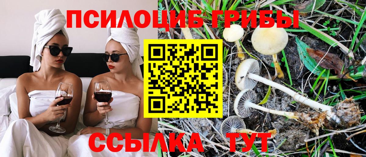 Псилоцибиновые грибы прущие грибы  Вход с VPN  Псилоцибиновые грибы Psilocybine cubensis  Волгодонск 