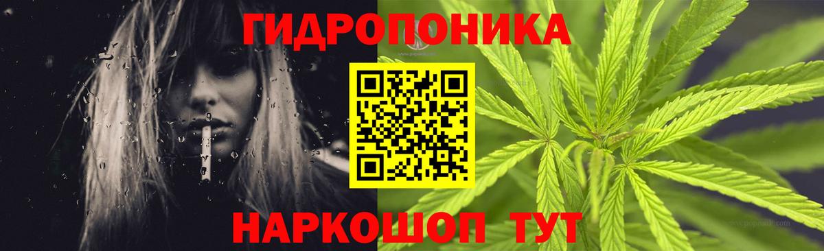 Шишки марихуана OG Kush  Вход с VPN  МАРИХУАНА THC 21%  Волгодонск 